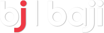 what does sudoku mean
